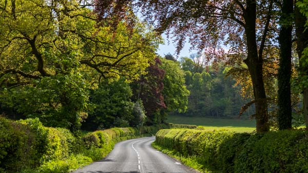 Our beautiful road through the Coombe